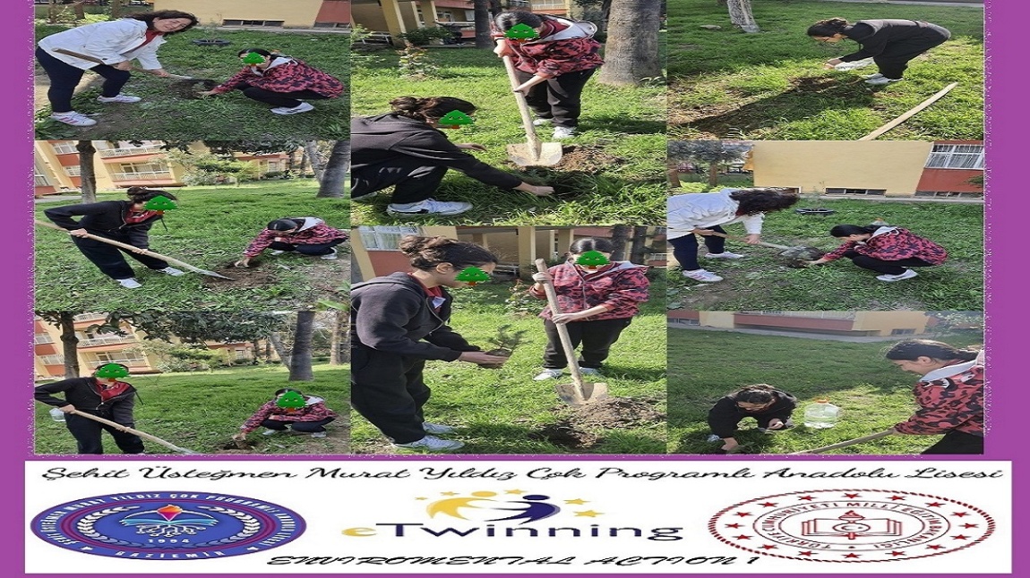 eTwinning 